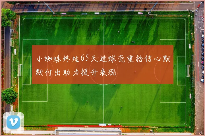 小蜘蛛终结65天进球荒重拾信心默默付出助力提升表现