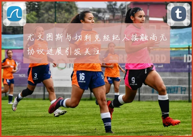 尤文图斯与切利克经纪人接触尚无协议进展引发关注